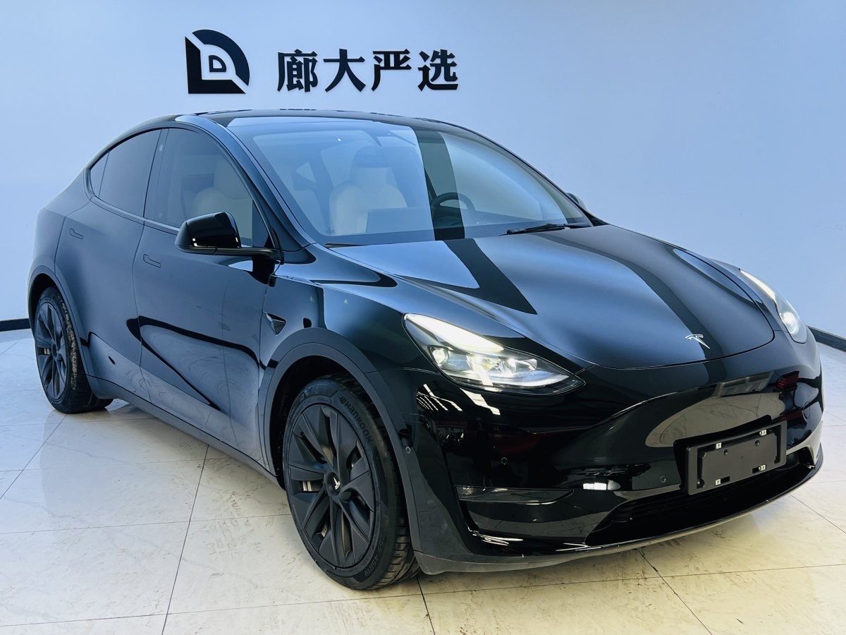 2022年1月特斯拉 Model Y  2021款 改款 標(biāo)準(zhǔn)續(xù)航后驅(qū)升級版