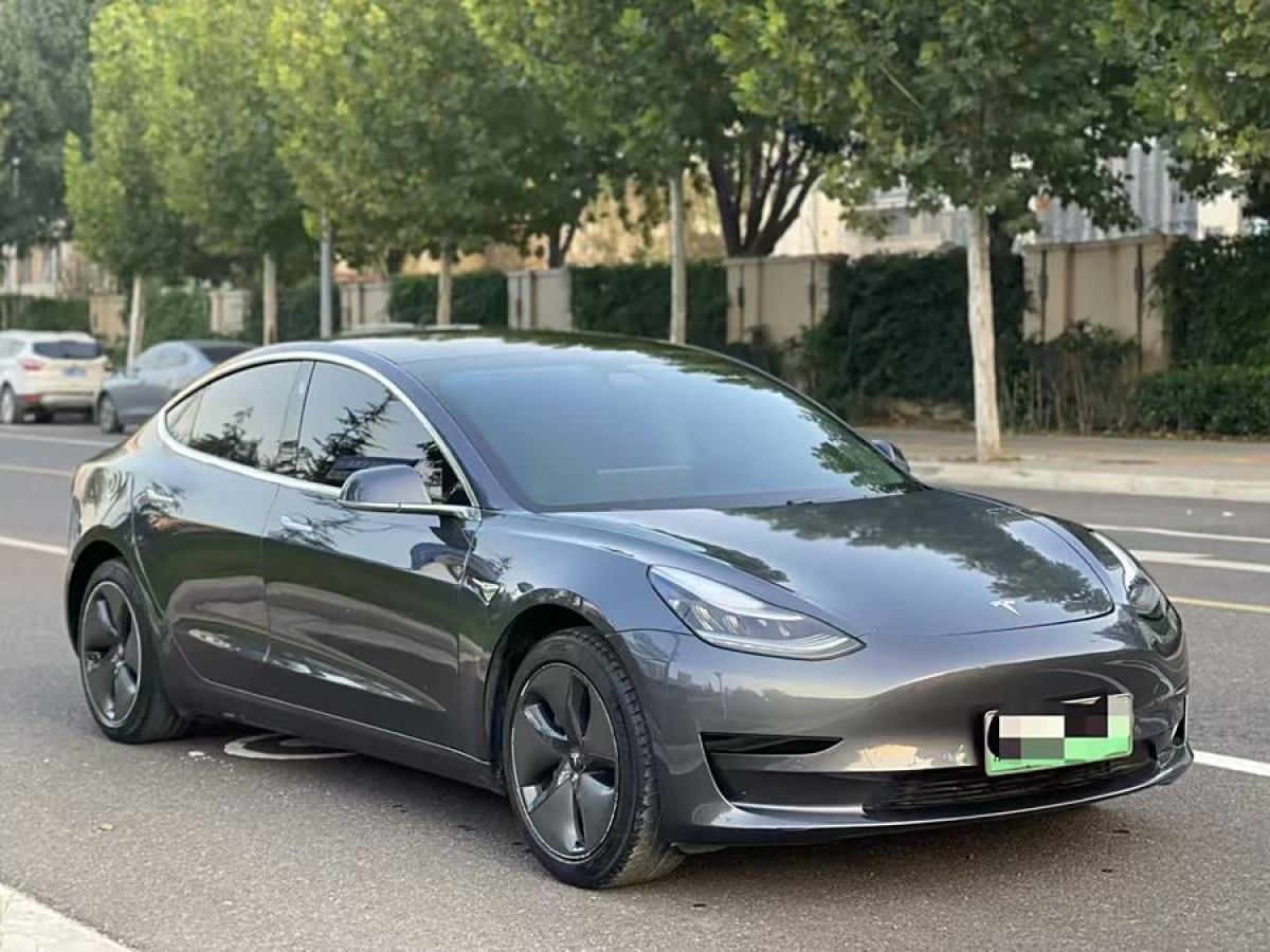 特斯拉 Model 3  2019款 標(biāo)準(zhǔn)續(xù)航后驅(qū)升級版圖片