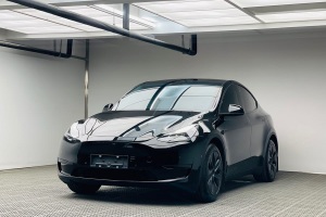 Model Y 特斯拉 后輪驅(qū)動版