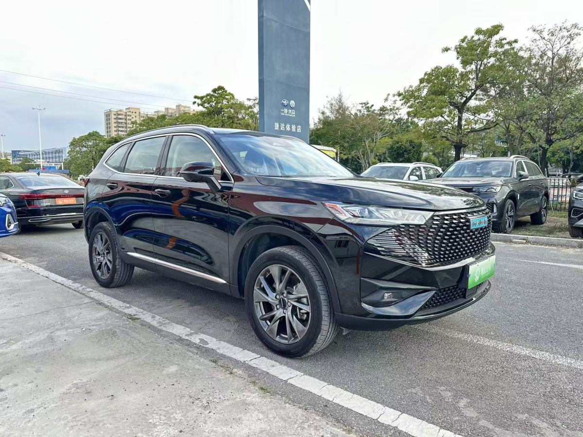 哈弗 哈弗H6新能源  2023款 DHT-PHEV 110KM 悅行版圖片