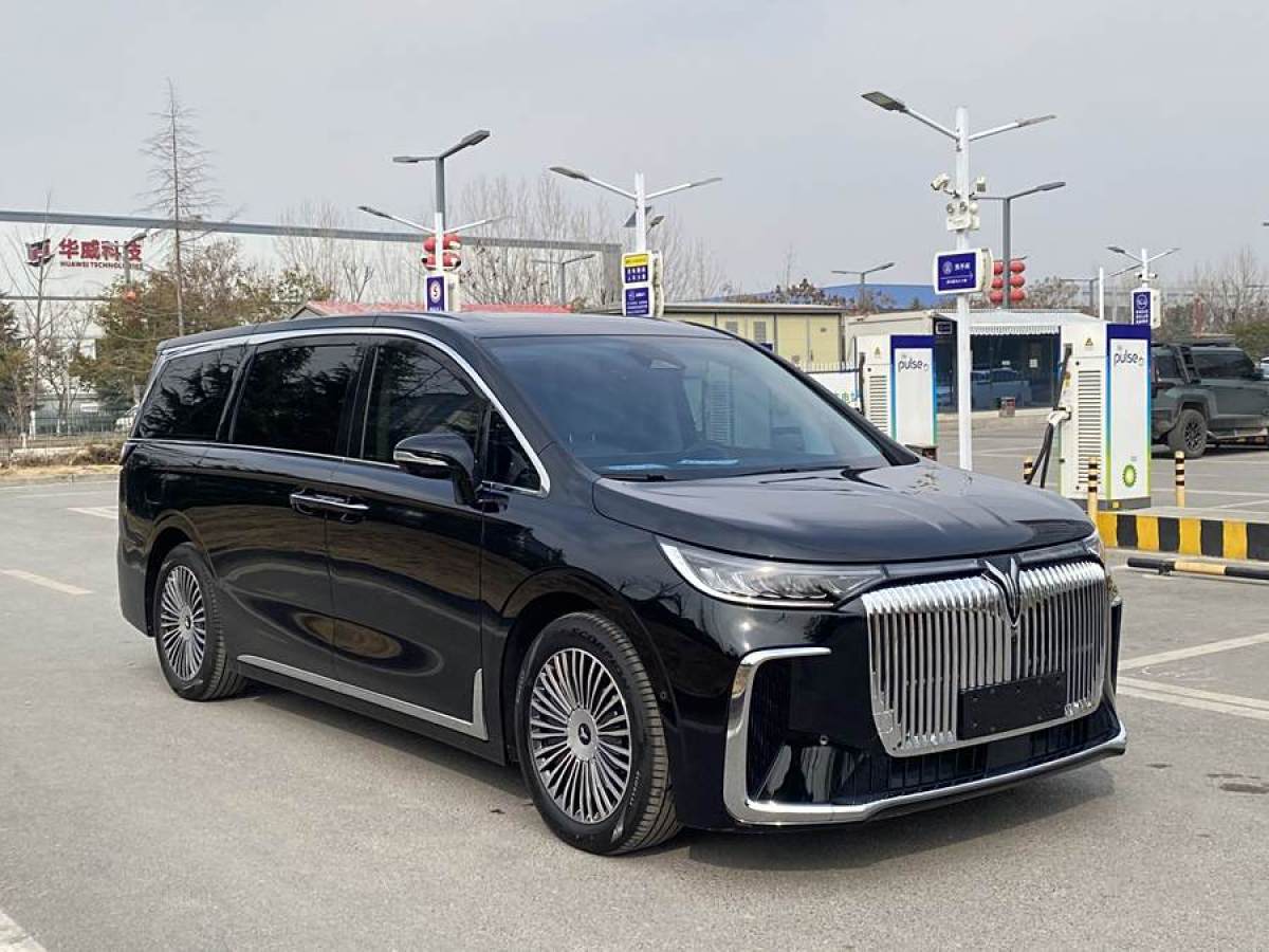 嵐圖 夢(mèng)想家  2025款 PHEV 四驅(qū)尊貴鯤鵬版圖片