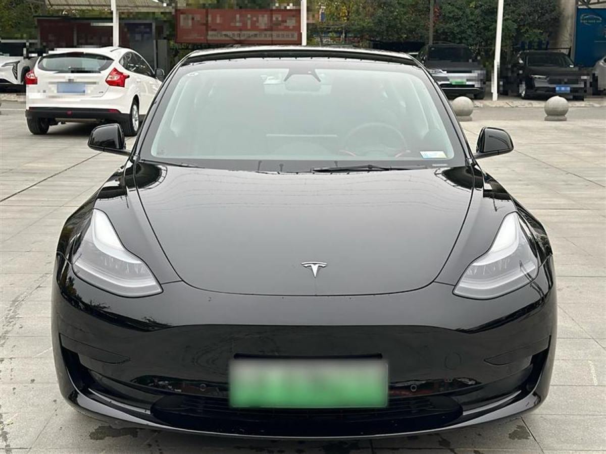 特斯拉 Model 3  2021款 標(biāo)準(zhǔn)續(xù)航后驅(qū)升級(jí)版 3D6圖片