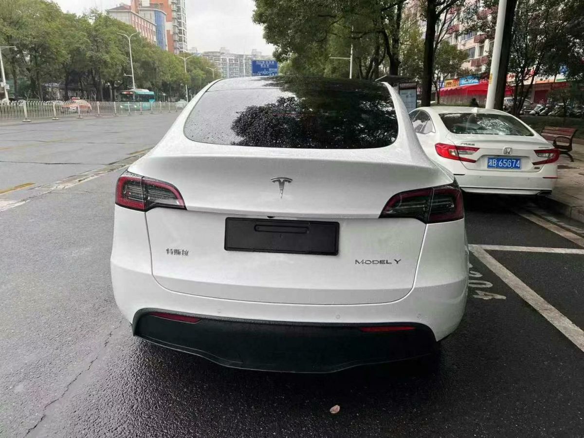 2022年1月特斯拉 Model 3  2022款 Performance高性能全輪驅(qū)動版