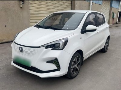 2021年10月 長(zhǎng)安 奔奔E-Star 清心版 多彩款 三元鋰圖片
