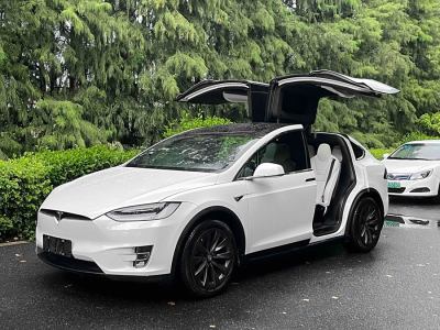 2017年7月 特斯拉 Model X Model X 75D圖片