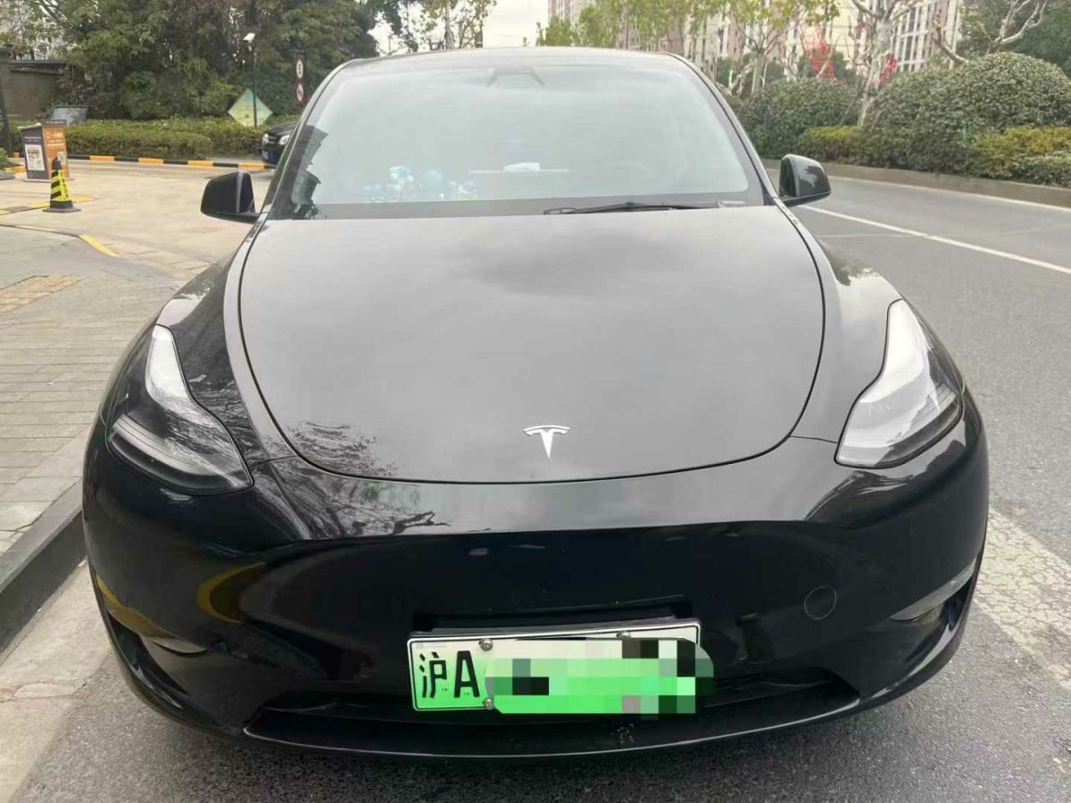 特斯拉 Model Y  2021款 標(biāo)準(zhǔn)續(xù)航后驅(qū)版圖片