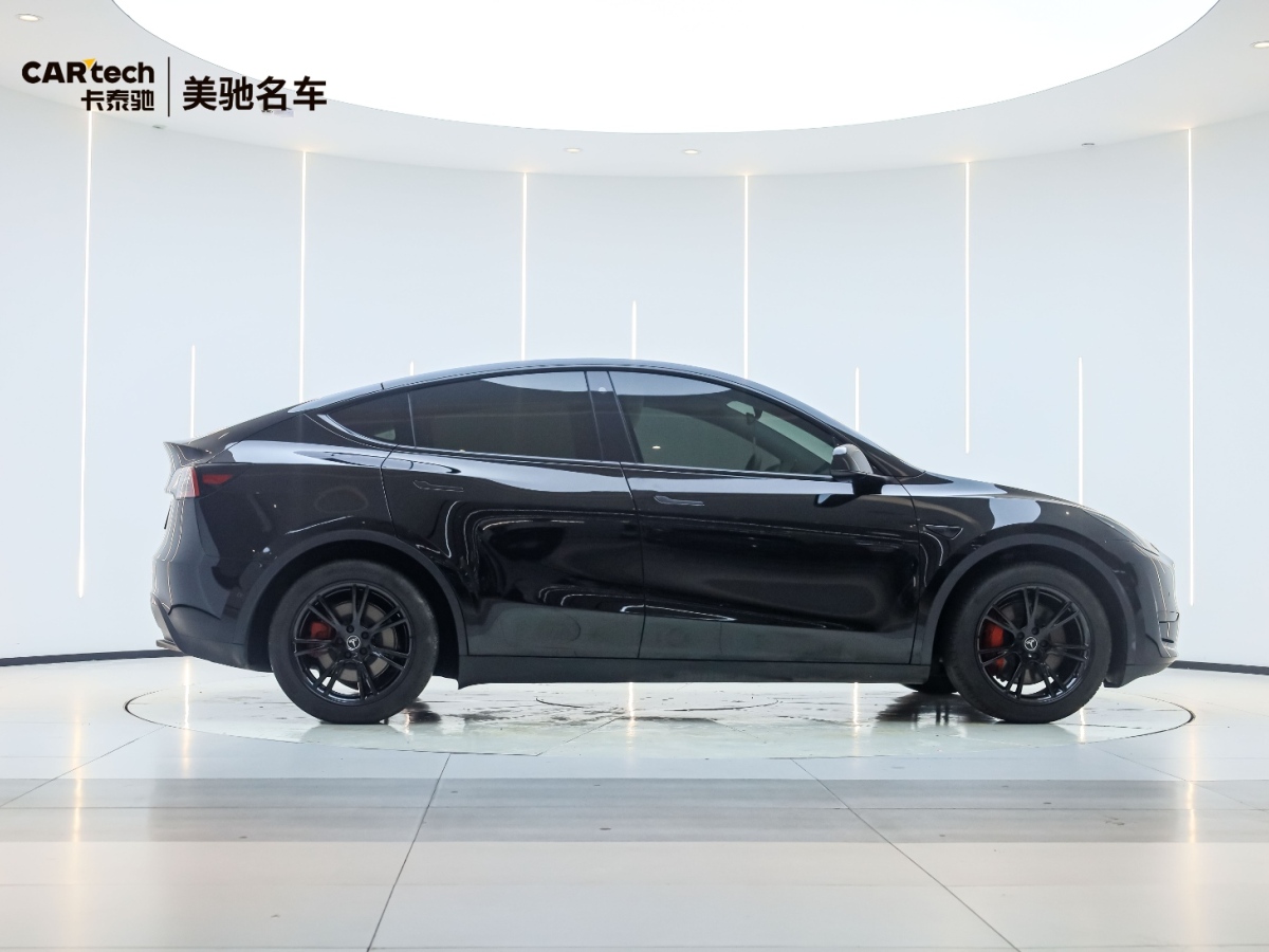 特斯拉 Model Y  2020款 Performance高性能全輪驅(qū)動(dòng)版圖片