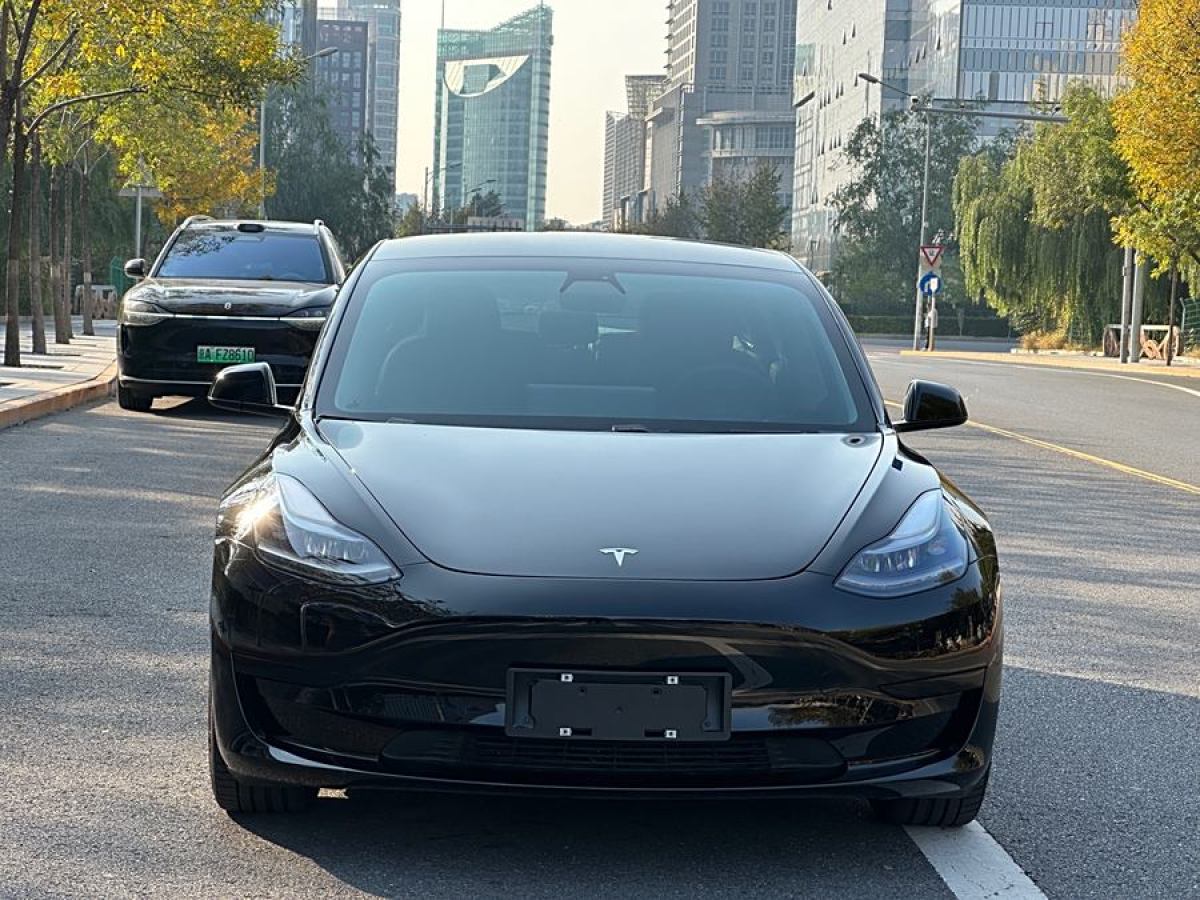 2021年2月特斯拉 Model 3  2019款 標(biāo)準(zhǔn)續(xù)航后驅(qū)升級版