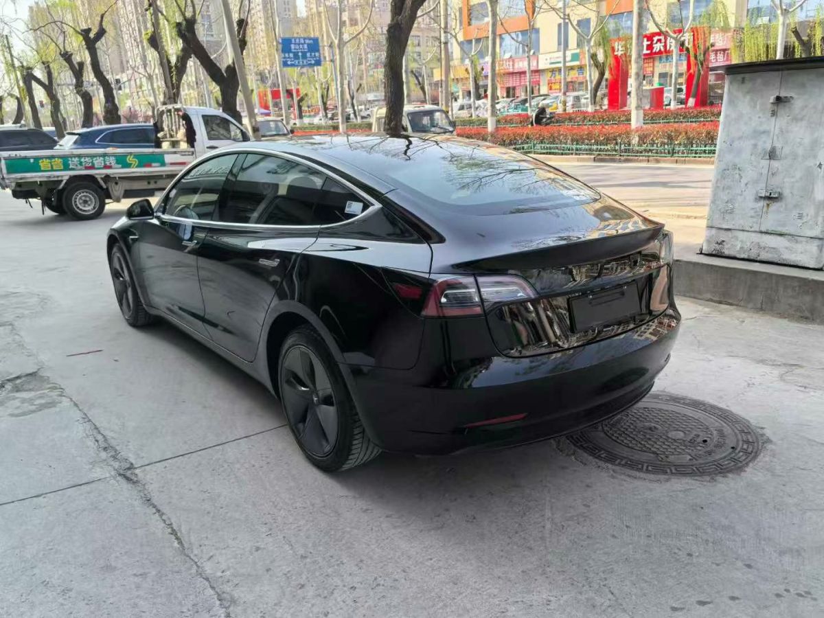 特斯拉 Model X  2020款 Performance 高性能版圖片