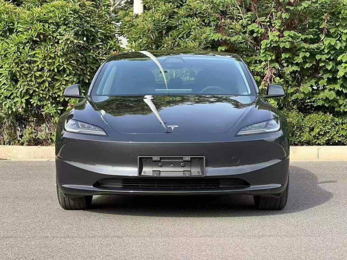 特斯拉 Model 3  2024款 Performance高性能版圖片