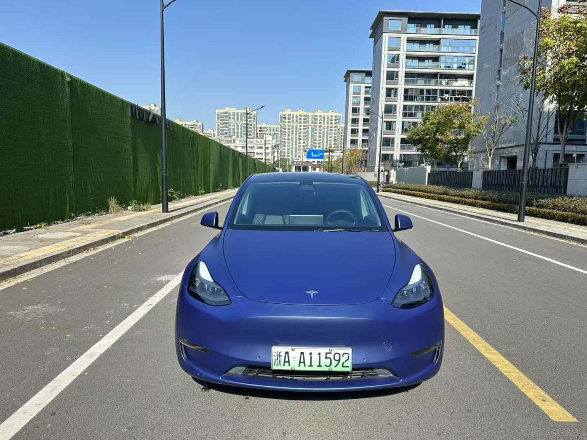 特斯拉 Model 3  2022款 Performance高性能全輪驅(qū)動(dòng)版圖片