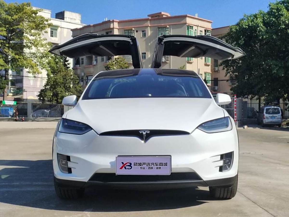 特斯拉 Model X  2019款 長續(xù)航版圖片