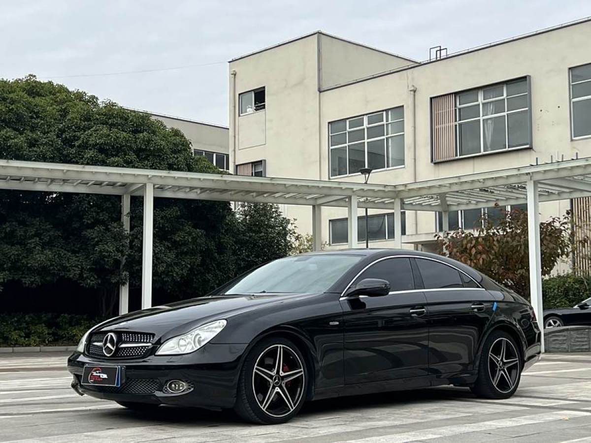 奔馳 奔馳CLS級(jí)  2009款 CLS 300圖片