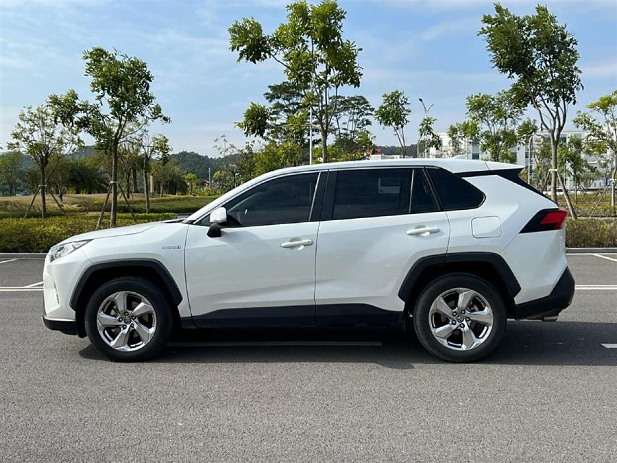 豐田 RAV4榮放  2023款 雙擎 2.5L E-CVT兩驅(qū)精英Plus版圖片