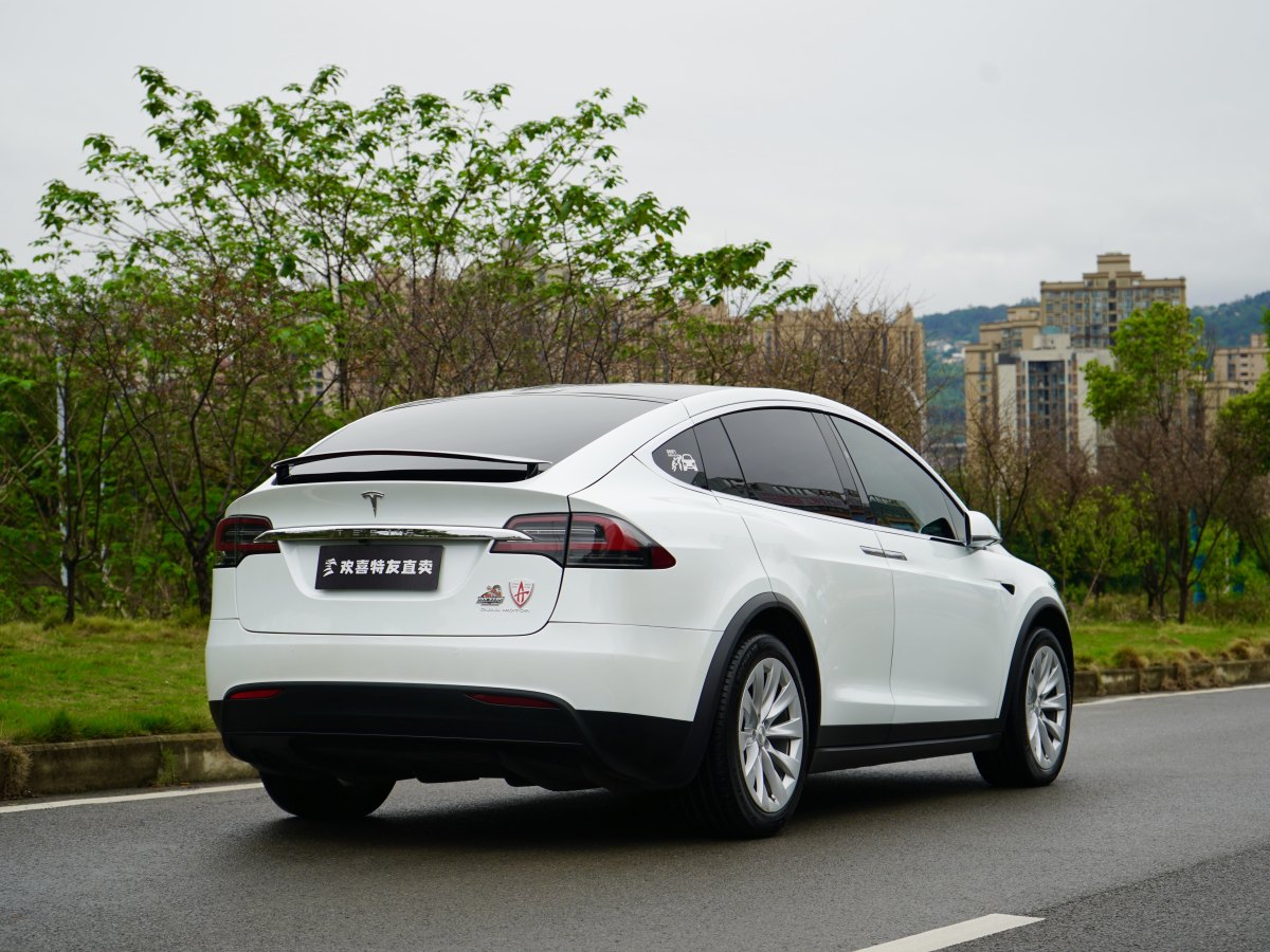 特斯拉 Model X  2019款 長(zhǎng)續(xù)航版圖片