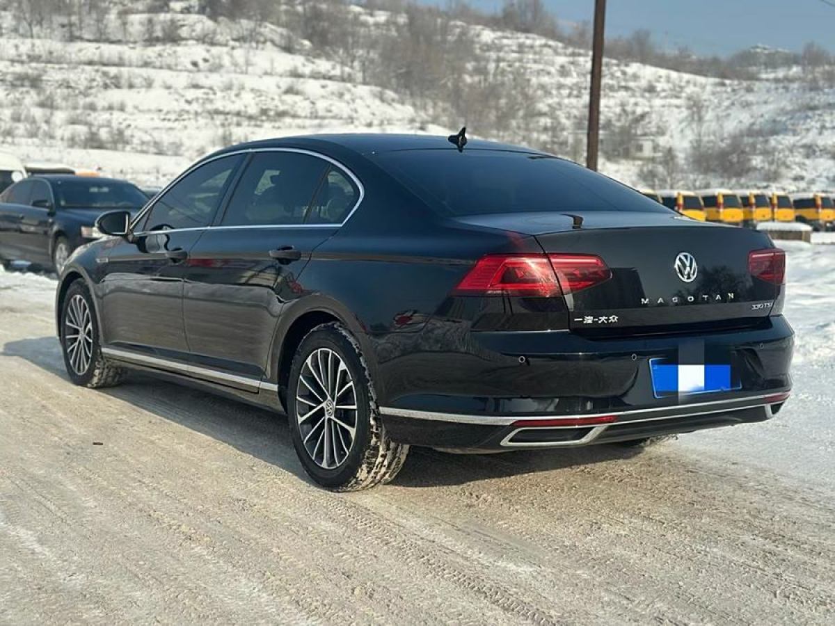 大眾 邁騰  2020款 330TSI DSG 豪華型圖片