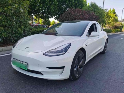 2021年3月 特斯拉 Model 3 标准续航后驱升级版图片