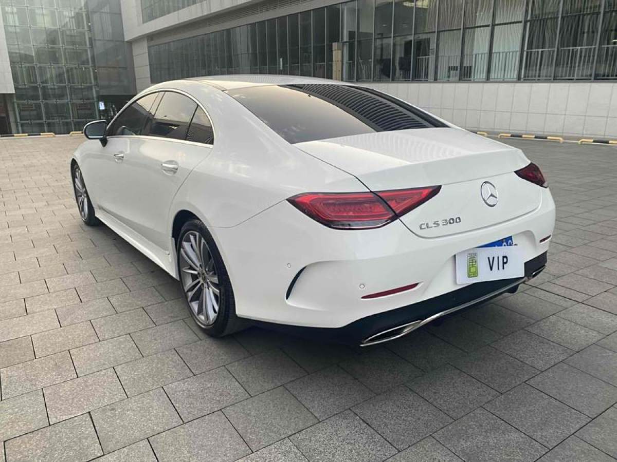 奔馳 奔馳CLS級  2018款 CLS 300 動感型圖片