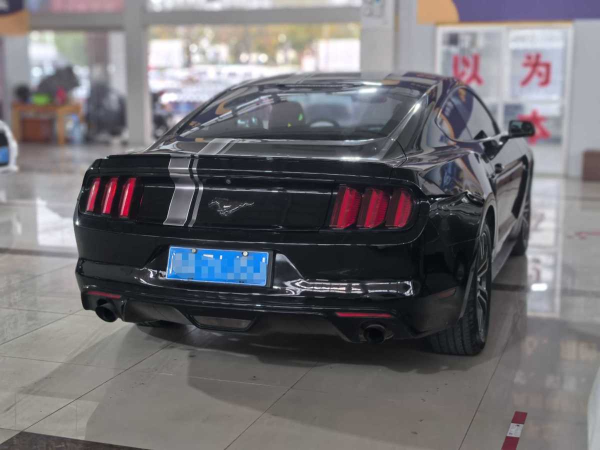 福特 Mustang  2015款 2.3T 性能版圖片