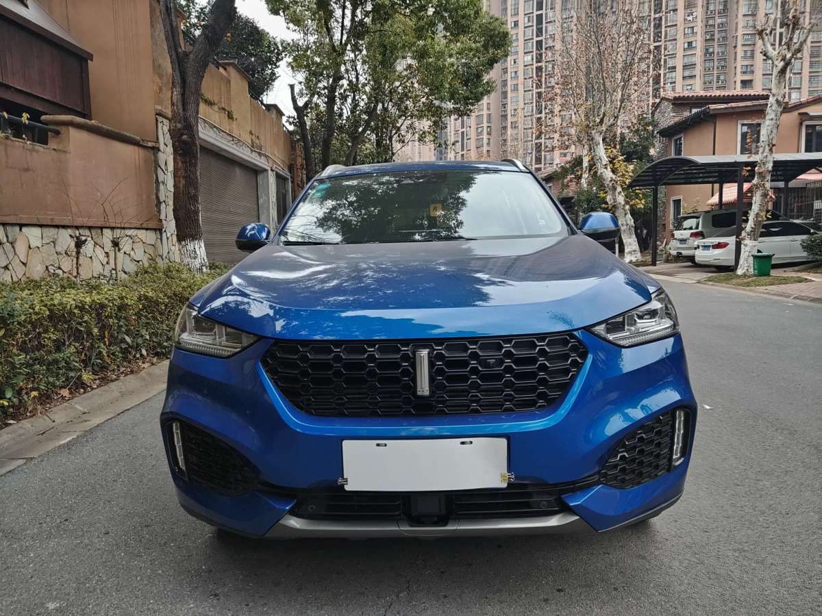 WEY VV6  2019款  2.0T 兩驅(qū)超豪型 國VI圖片