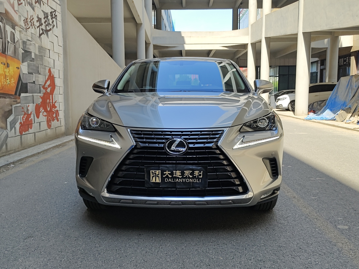 2020年11月雷克薩斯 NX  2020款 200 前驅(qū) 鋒行版 國(guó)VI