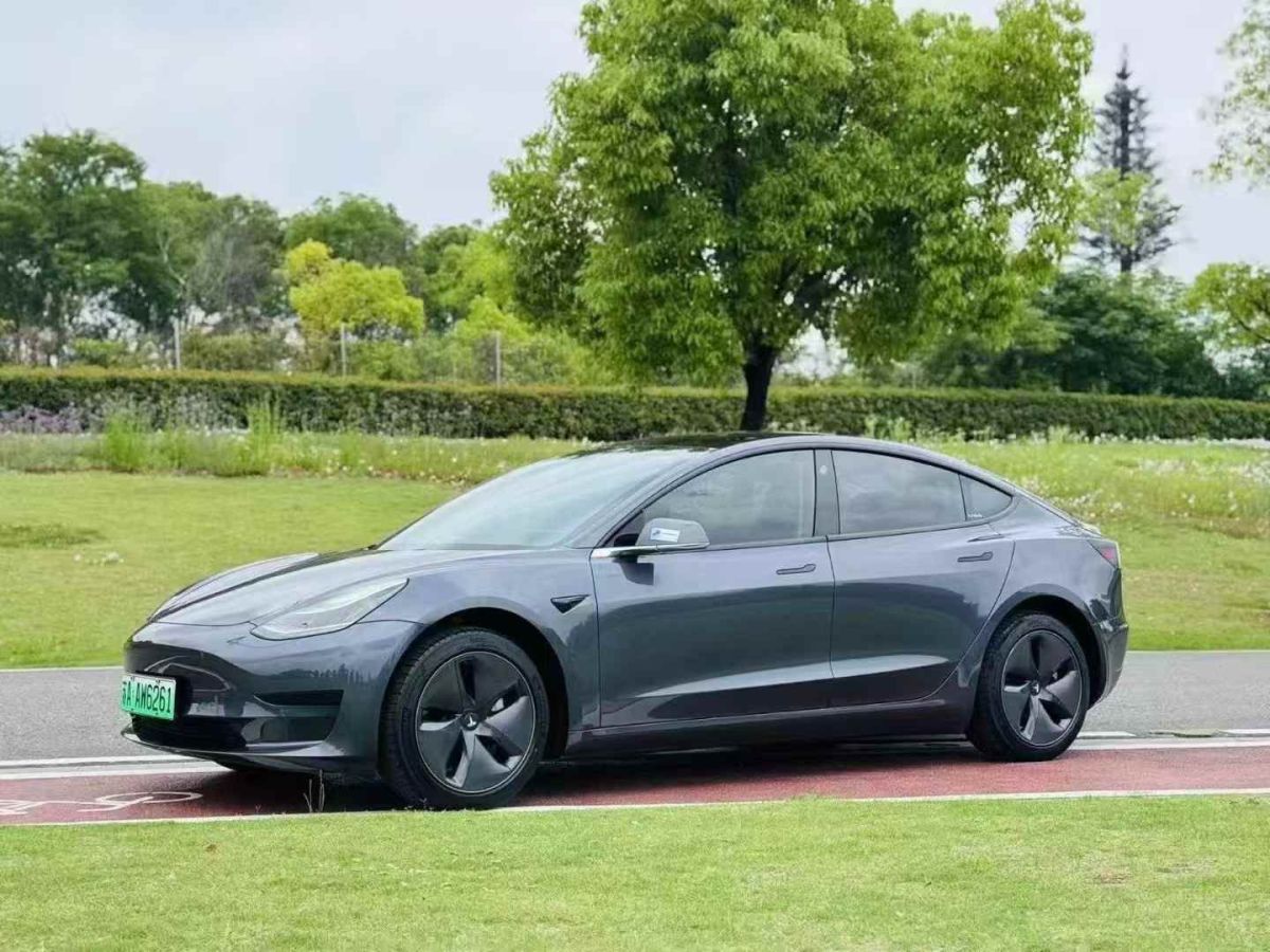 特斯拉 Model X  2020款 Performance 高性能版圖片