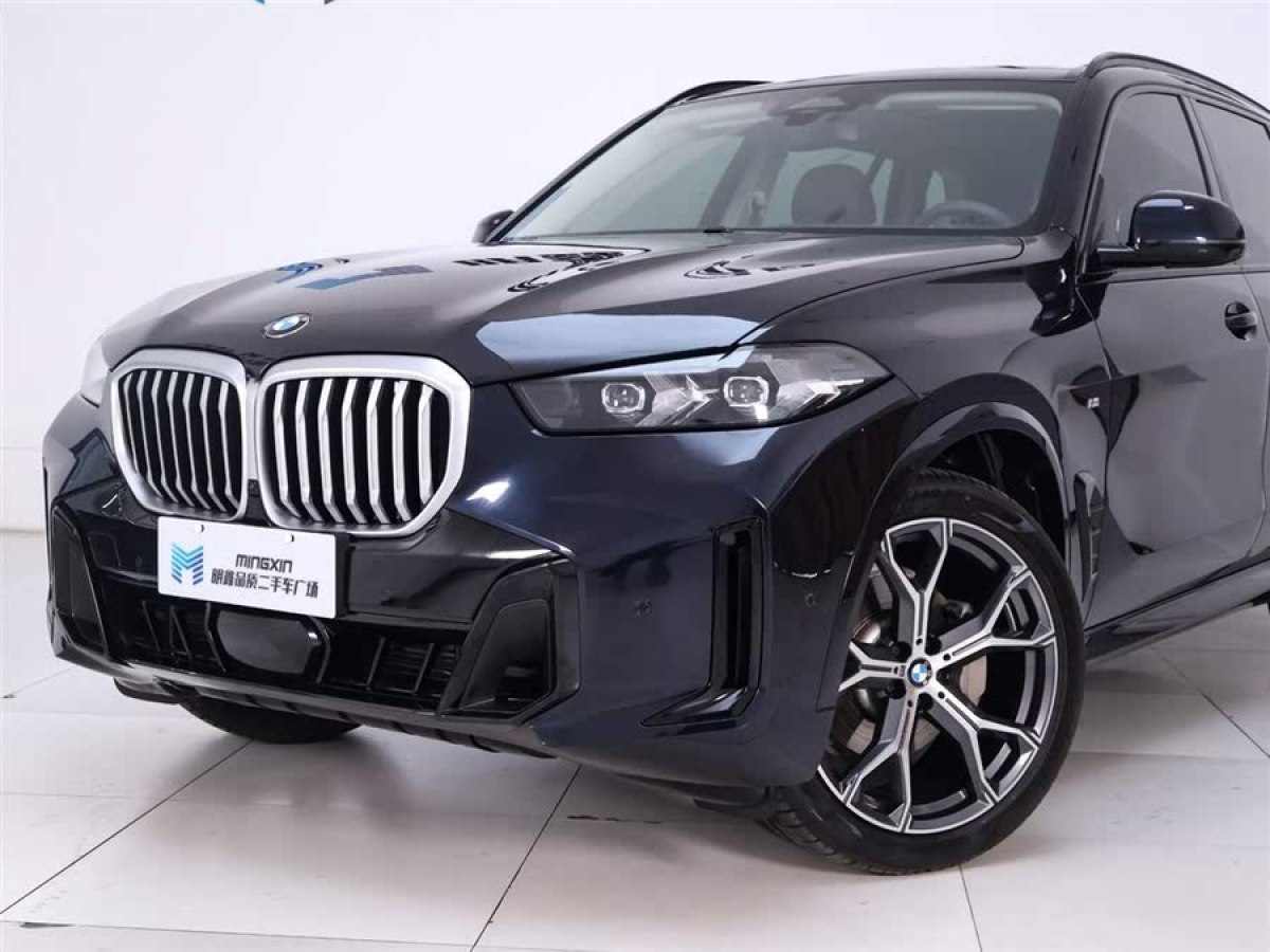 寶馬 寶馬X5  2023款 xDrive 30Li 尊享型M運(yùn)動(dòng)曜夜套裝圖片