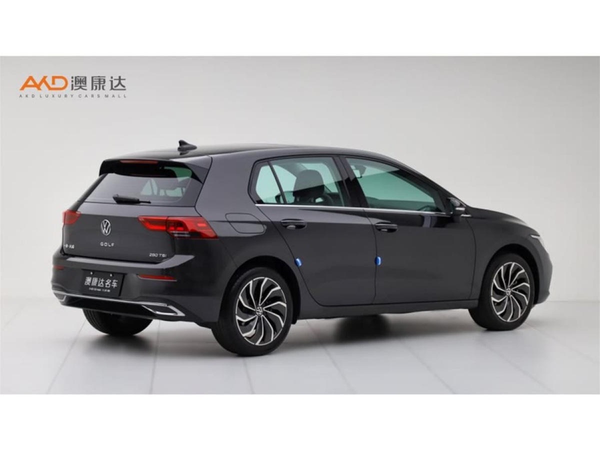 大眾 高爾夫  2023款 改款 280TSI DSG Pro圖片