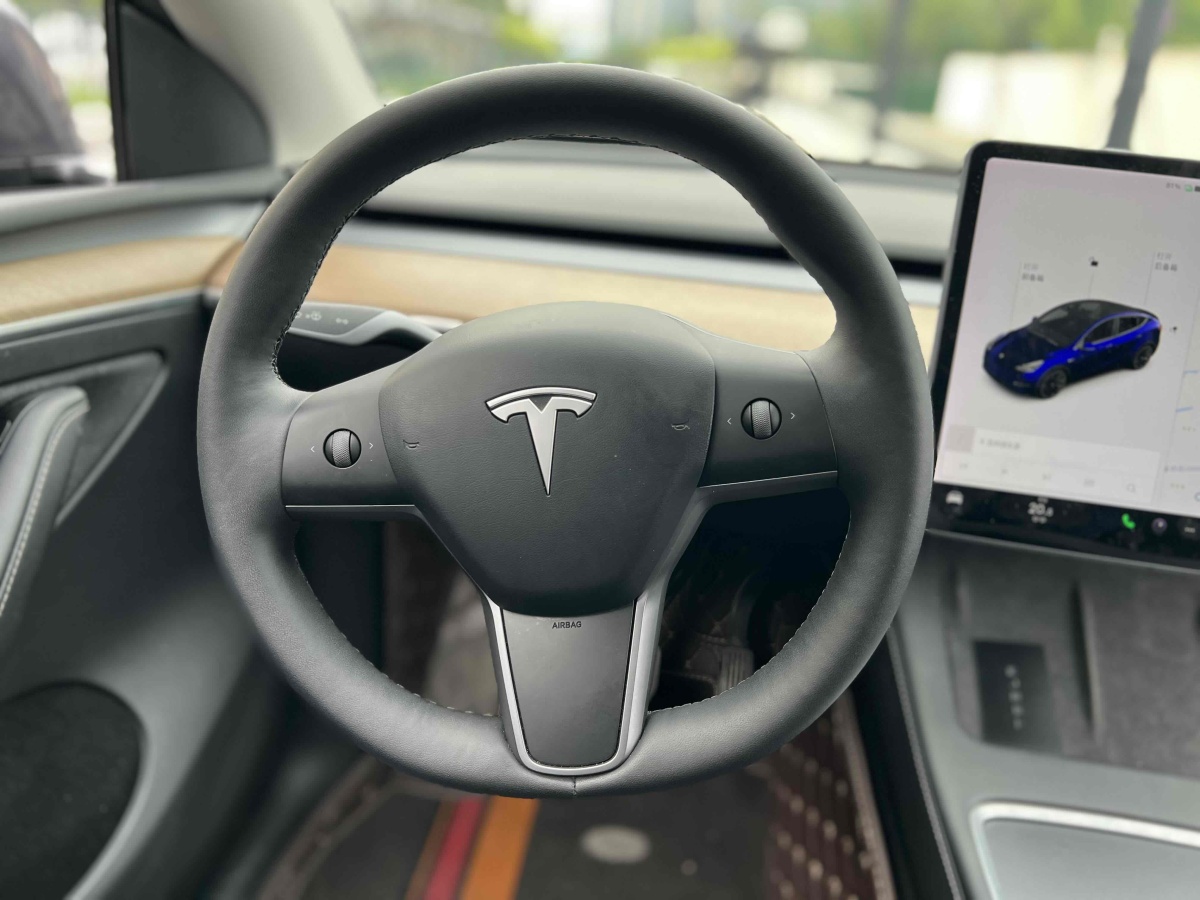 特斯拉 Model Y  2021款 改款 長(zhǎng)續(xù)航全輪驅(qū)動(dòng)版圖片