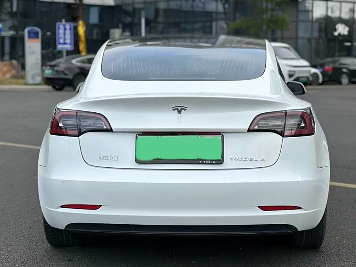 2020年3月特斯拉 Model 3  2019款 標準續(xù)航后驅升級版