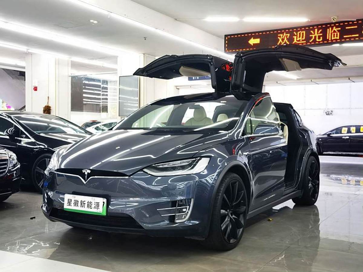 特斯拉 Model X  2020款 長續(xù)航升級(jí)版圖片