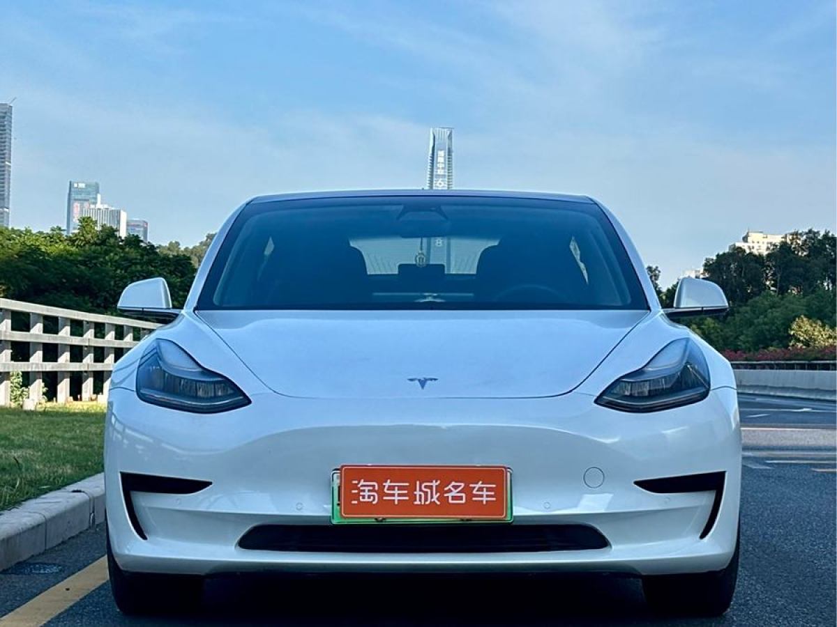 特斯拉 Model Y  2020款 改款 標(biāo)準(zhǔn)續(xù)航后驅(qū)升級版圖片