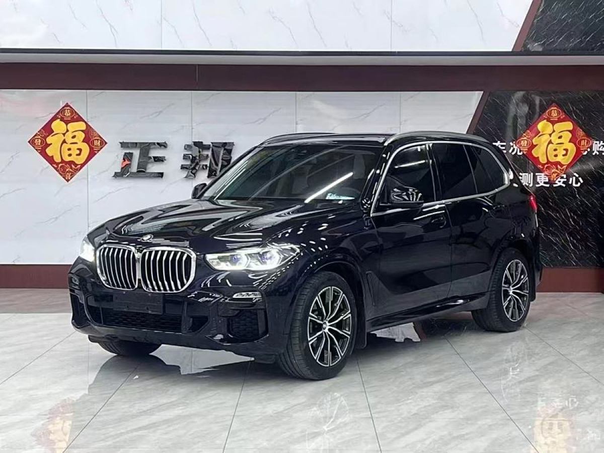 寶馬 寶馬X5  2019款 xDrive30i M運動套裝圖片