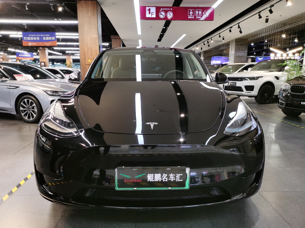 特斯拉 Model Y  2020款 改款 長續(xù)航后輪驅(qū)動版圖片