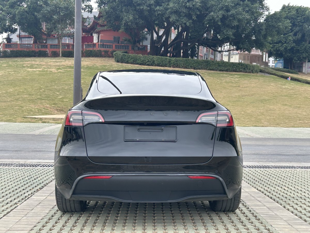 特斯拉 Model 3  2020款 改款 長續(xù)航后輪驅(qū)動版圖片