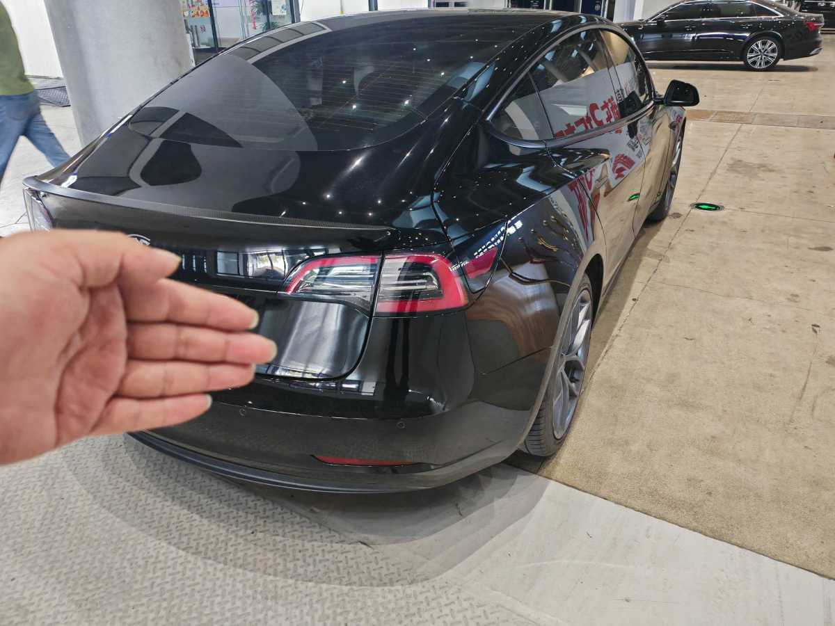 特斯拉 Model 3  2019款 Performance高性能全輪驅(qū)動(dòng)版圖片