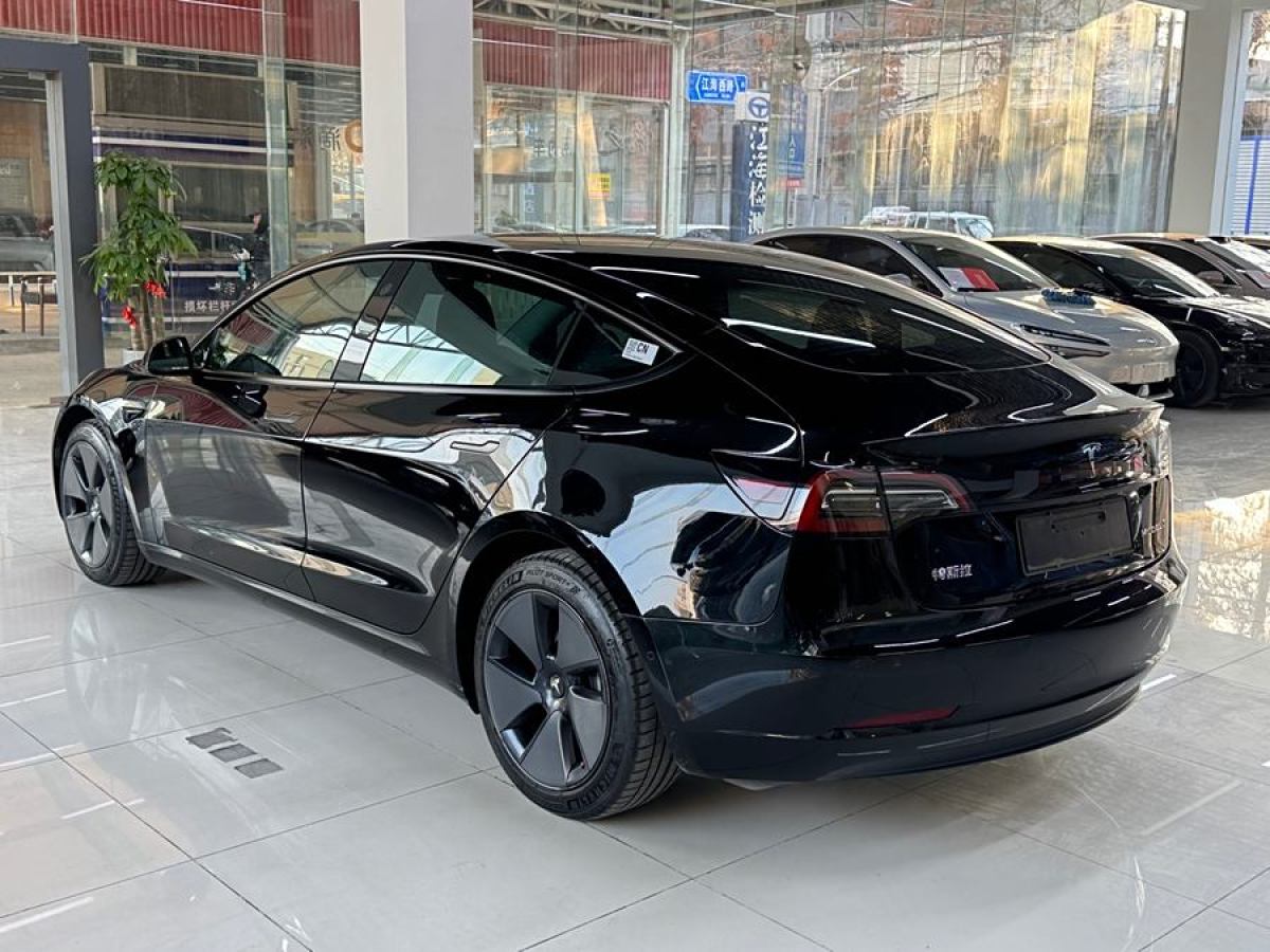 特斯拉 Model 3  2021款 標準續(xù)航后驅升級版 3D6圖片