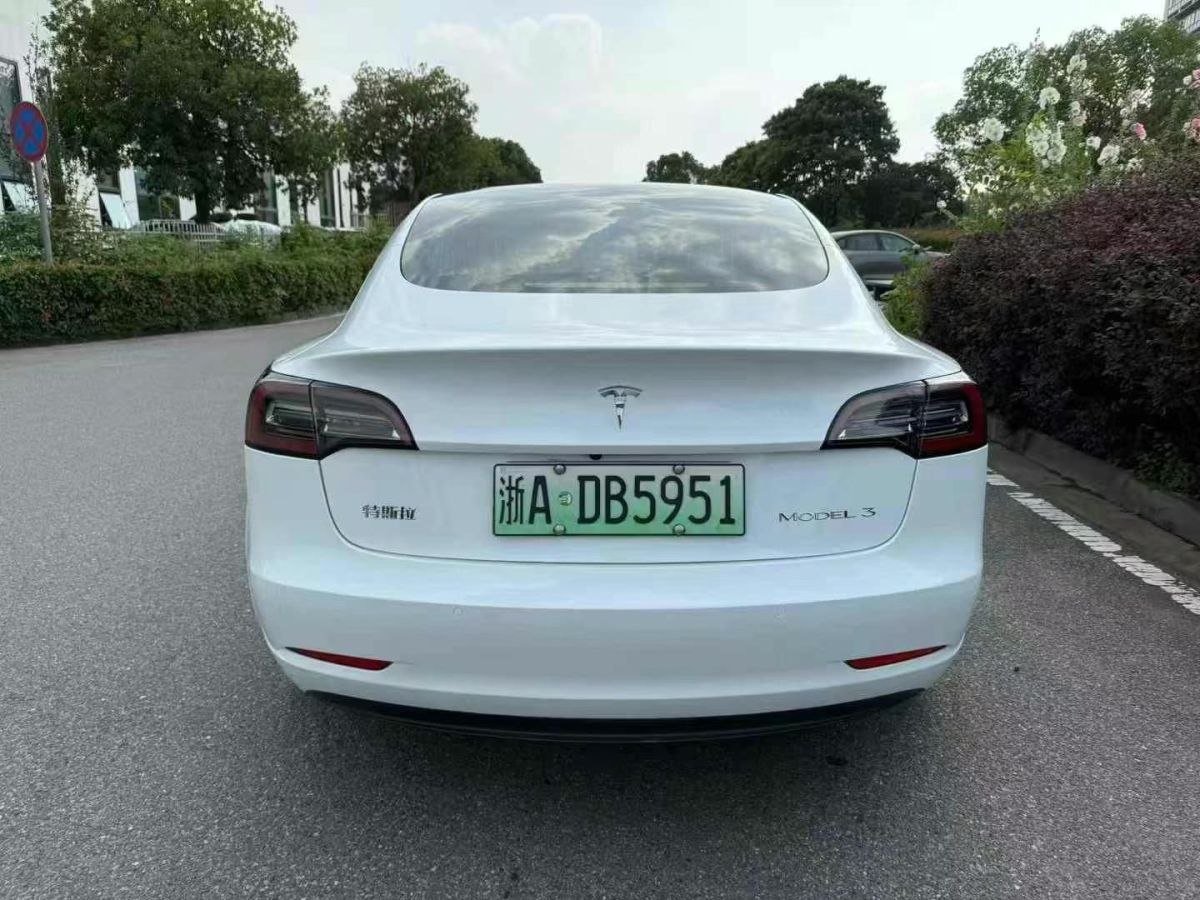 特斯拉 Model X  2020款 Performance 高性能版圖片