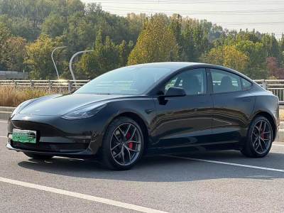 2023年3月 特斯拉 Model 3 Performance高性能全輪驅(qū)動(dòng)版圖片