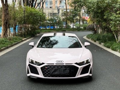 奧迪 奧迪R8 V10 Coupe performance 收藏家版圖片