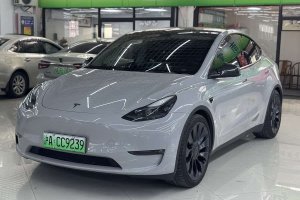 Model Y 特斯拉 高性能全輪驅(qū)動版