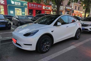 Model Y 特斯拉 標準續(xù)航后驅(qū)版