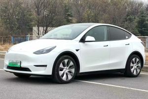 Model 3 特斯拉 Performance高性能全轮驱动版