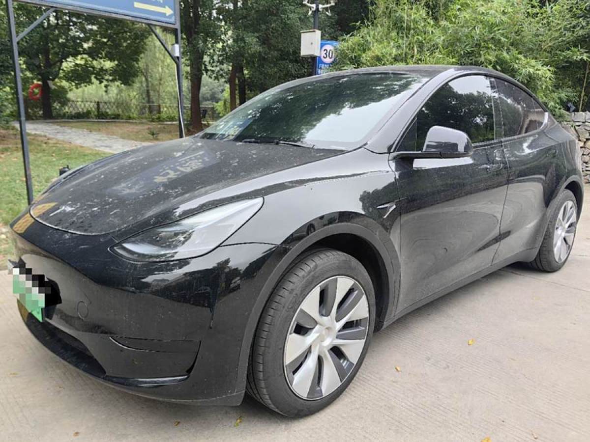 特斯拉 Model Y  2020款 改款 長(zhǎng)續(xù)航后輪驅(qū)動(dòng)版圖片