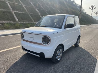 2024年12月 吉利 熊貓mini 200km 耐力熊圖片