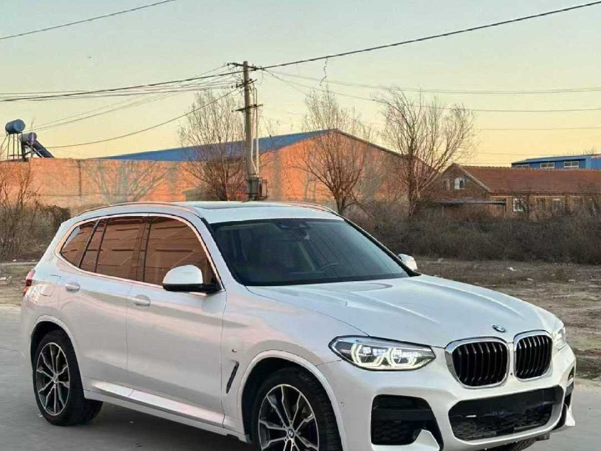 寶馬 寶馬X3  2020款 xDrive30i 領(lǐng)先型 M運(yùn)動套裝圖片