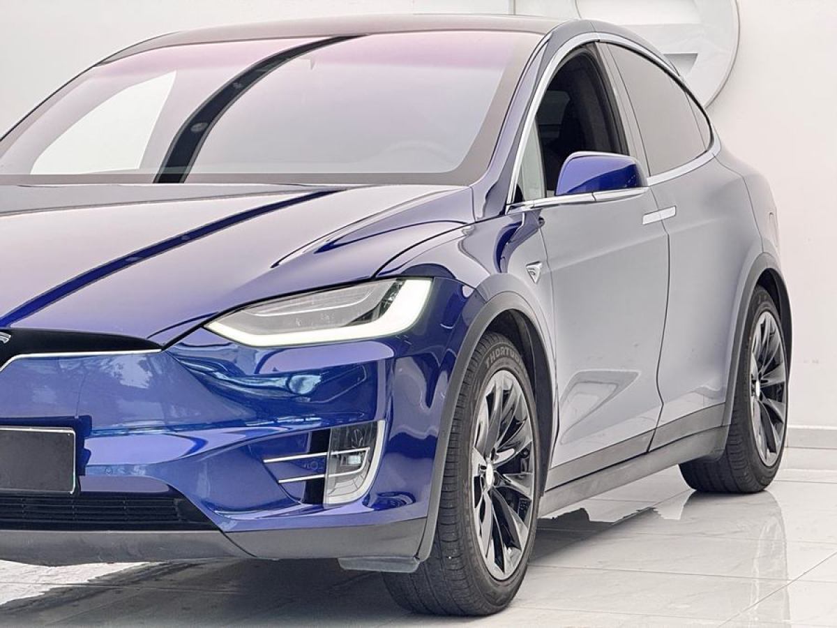 2019年9月特斯拉 Model X  2019款 長(zhǎng)續(xù)航版