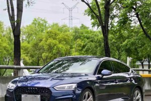 奧迪A5 奧迪 Sportback 40 TFSI 時(shí)尚型