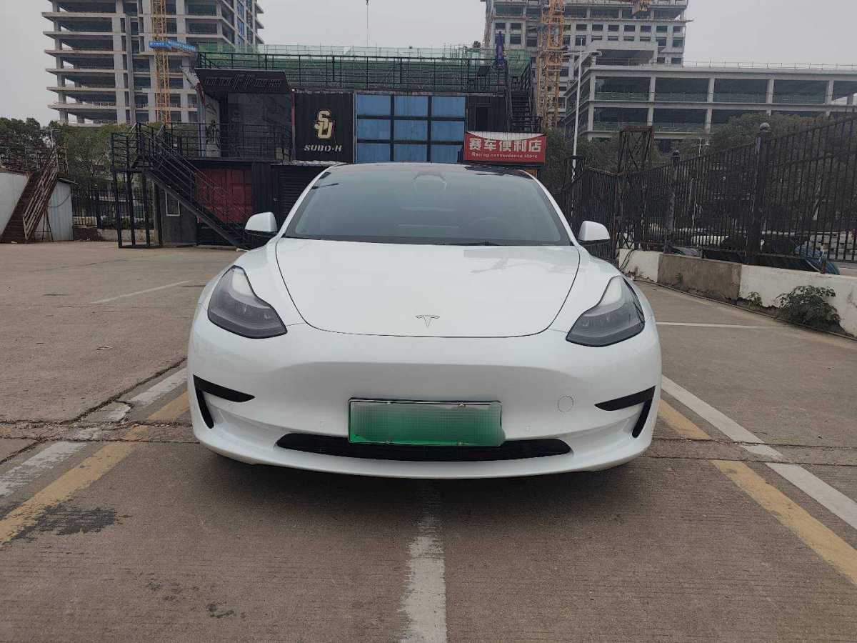 特斯拉 Model 3  2021款 標(biāo)準(zhǔn)續(xù)航后驅(qū)升級(jí)版 3D6圖片