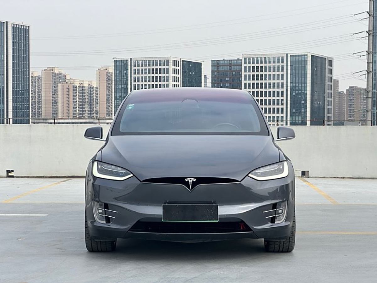 特斯拉 Model X  2019款 長續(xù)航版圖片